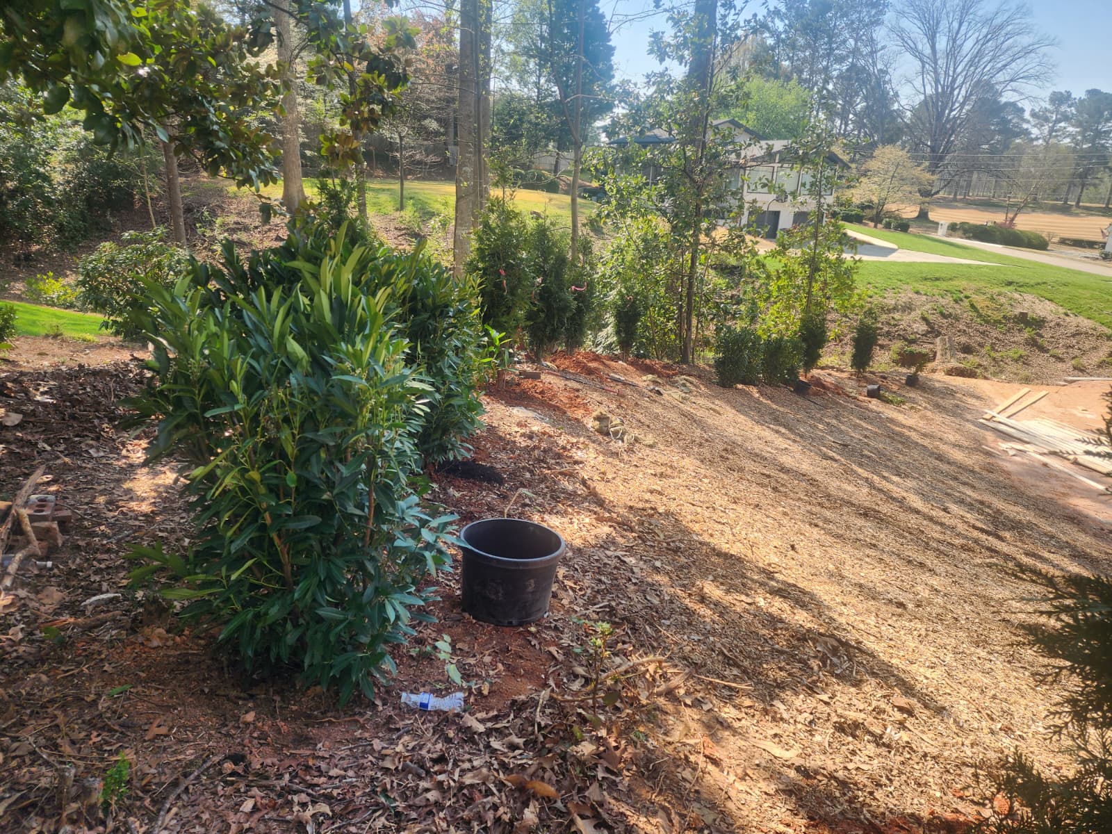 Residential landscaping project