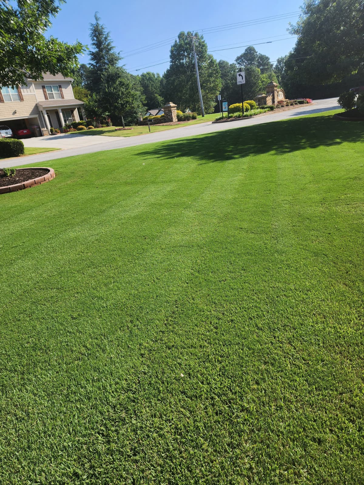 Garden design and outdoor transformation